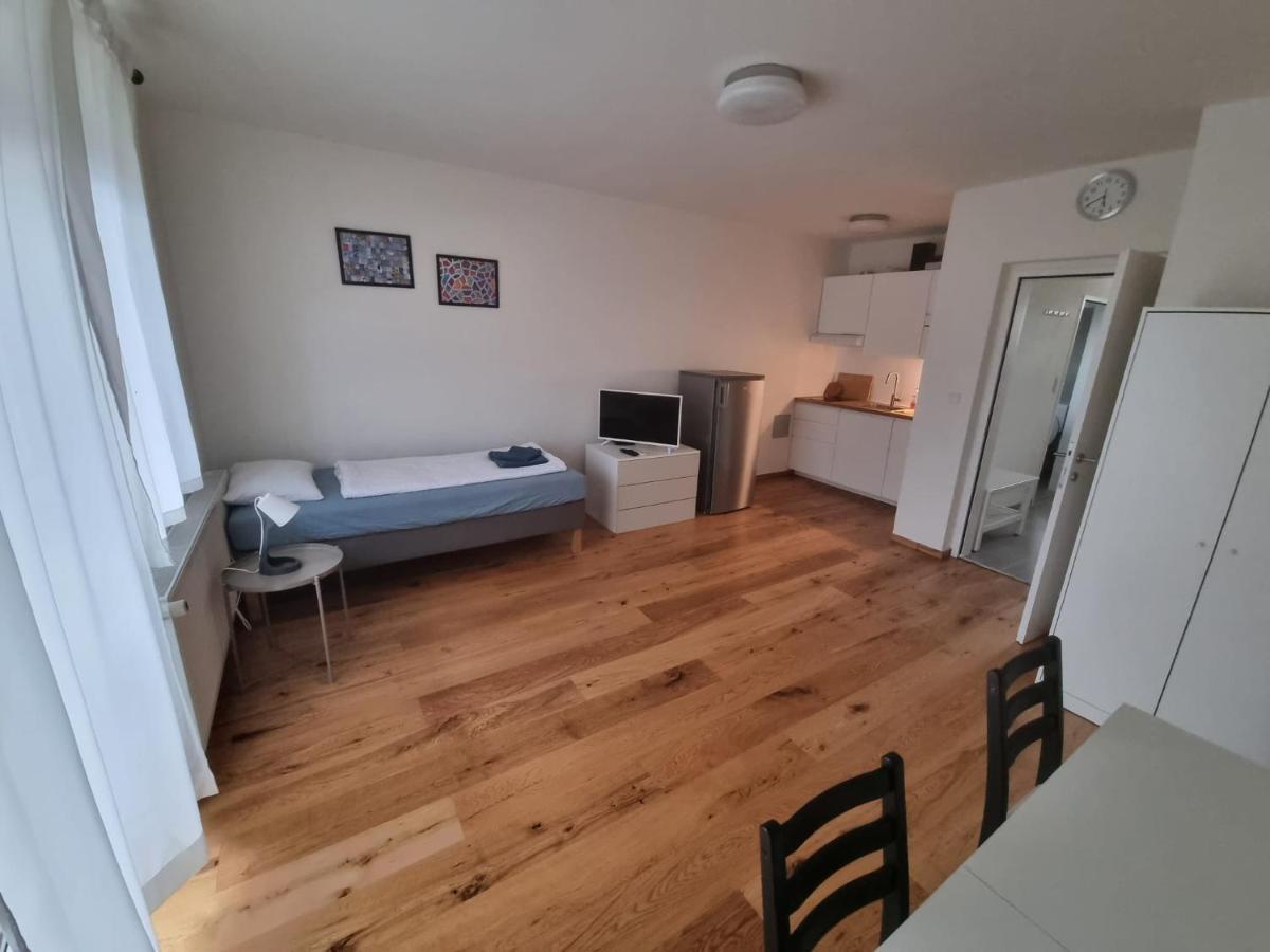 Flataid Apartmenthaus Brauhausstrasse Грац Екстер'єр фото