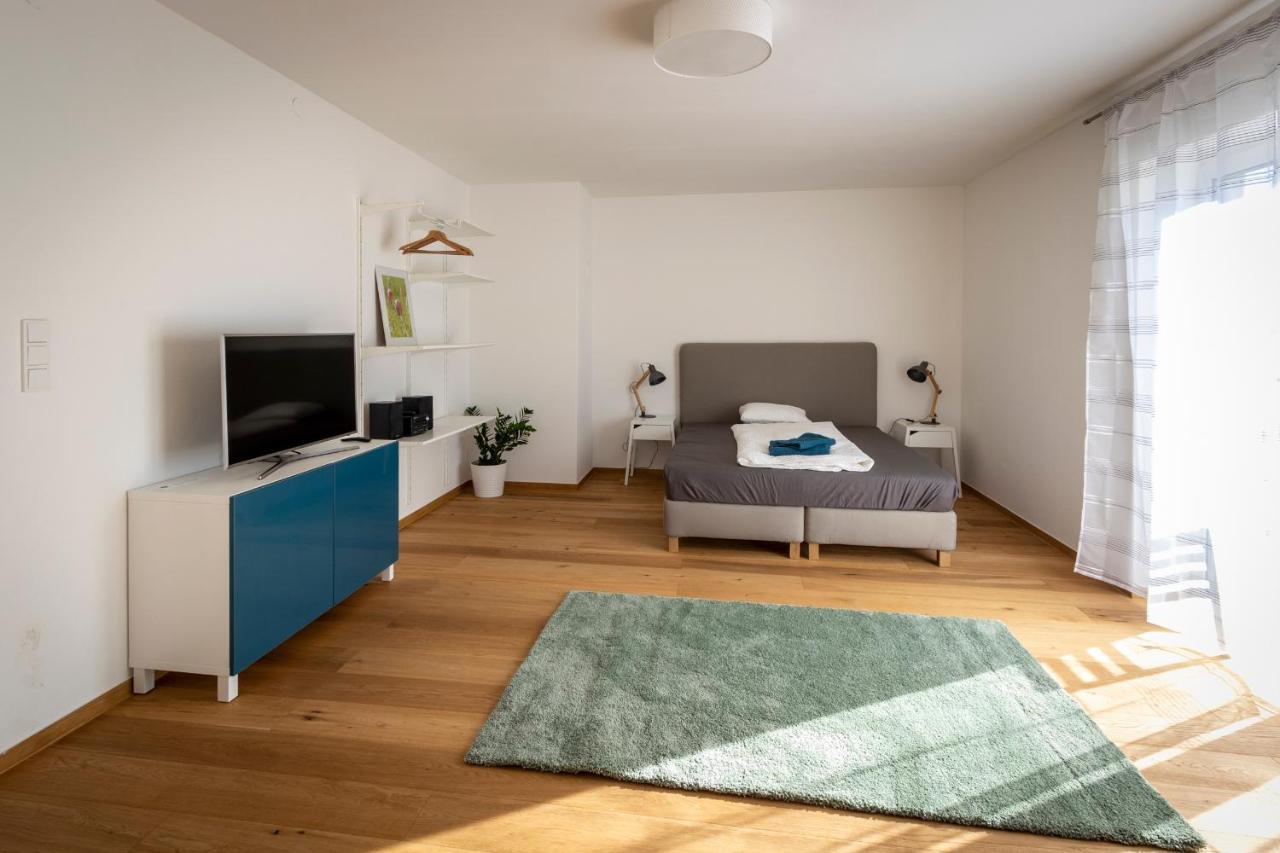 Flataid Apartmenthaus Brauhausstrasse Грац Екстер'єр фото